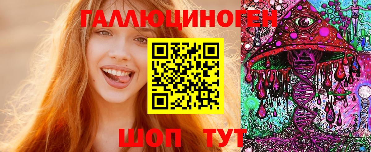 Псилоцибиновые грибы Psilocybe  Вход с VPN  Кириши 