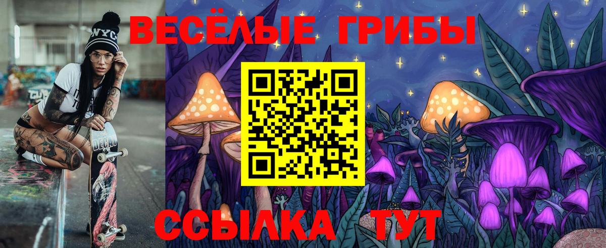 Псилоцибиновые грибы Magic Shrooms Кириши